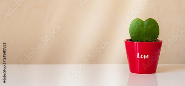 Obraz Hoya kerrii heart shape green cactus potted plant in a red pot on white desk simbolizing growing love or loving green environment, horizontal banner with copy space