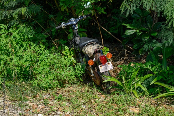 Obraz 放置車両　バイク　不法投棄