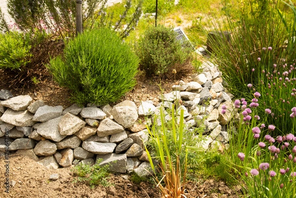 Obraz Permaculture garden -  herbal spiral with a number of domestic and exotic kitchen herbs
