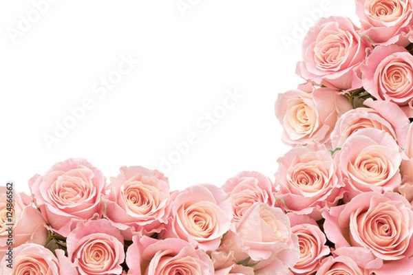 Obraz Border of Roses with space for text