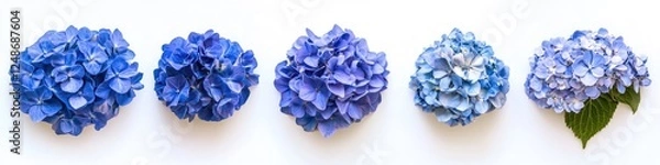 Fototapeta A close-up shot of a row of blue flowers on a white surface, perfect for using as a background or incorporating into designs