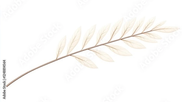 Fototapeta Delicate botanical illustration of a slender leaf branch with intricate details and soft colors