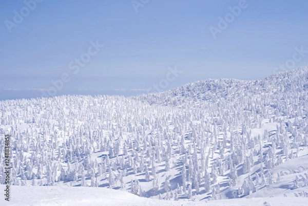 Fototapeta 日本、青森、八甲田の樹氷