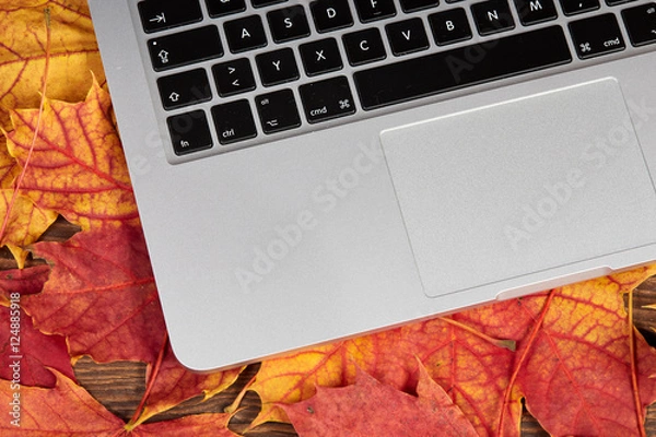 Fototapeta Laptop on colorful autumn leaves on a table