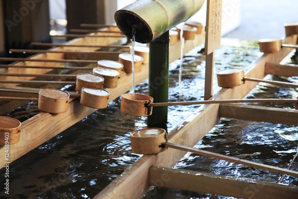 Fototapeta 明治神宮・手水舎