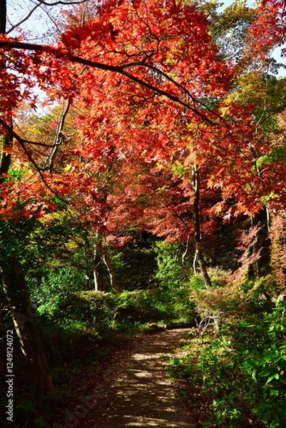 Fototapeta 中野邸記念館の紅葉（新潟県）