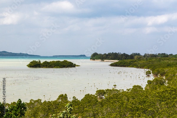 Obraz マングローブ広がる沖縄県小浜島の遠浅ラグーン自然がもたらす静寂と癒しの入り江