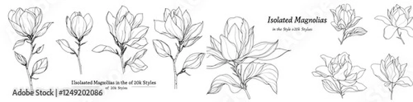 Fototapeta Collection featuring 21 distinct magnolia drawings, presented in a modern, hand-drawn style with black outlines against a white backdrop
