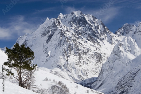 Obraz mountains and tree