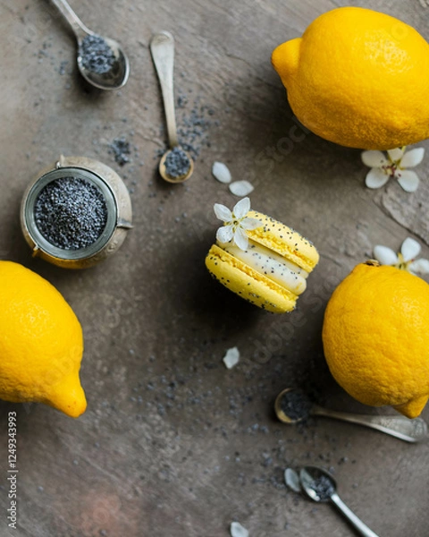 Fototapeta Macarons. French sweets in different variations