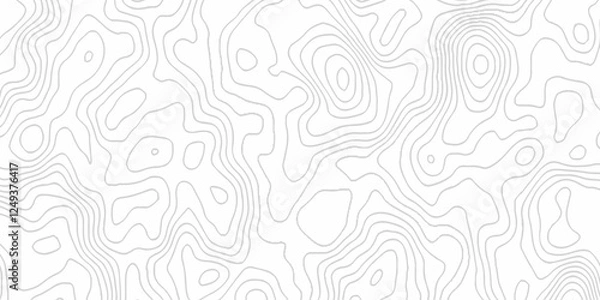 Fototapeta White topography topology vector white background fresh contour map texture. white seamless pattern Abstract background with a wave Topography and geography map grid abstract backdrop.
