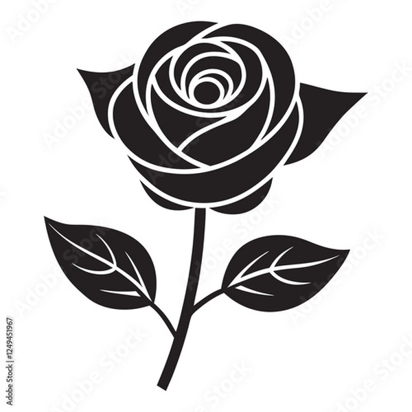 Obraz black and white rose