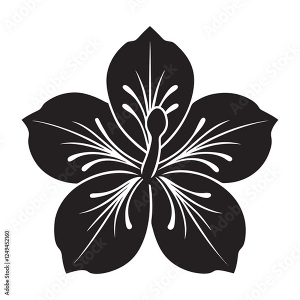 Obraz black and white flower vector