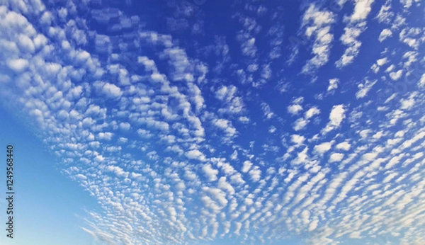 Obraz Altocumulus cloud formations in a vibrant blue sky at sunset