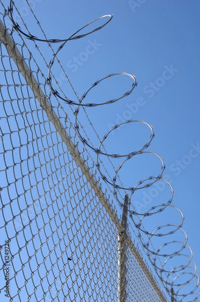 Fototapeta razor wire fence