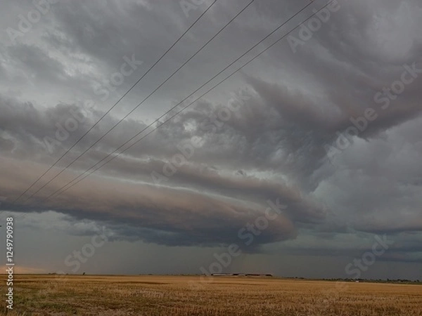Obraz A tornadic mesocyclone embedded in a linear storm system.