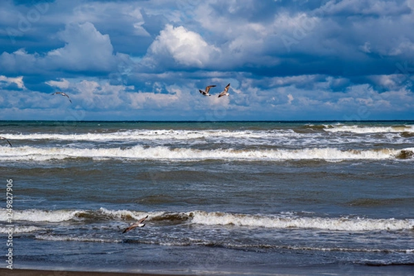 Obraz The sky is cloudy and the ocean is calm