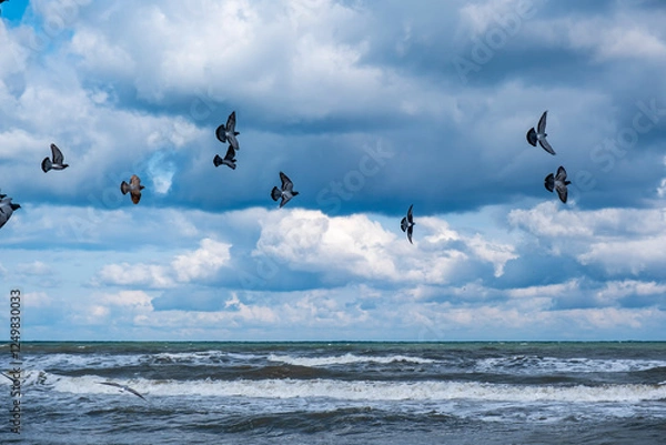 Obraz A flock of birds flying over the ocean