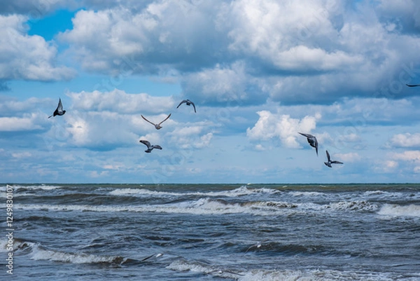 Obraz A flock of birds fly over the ocean