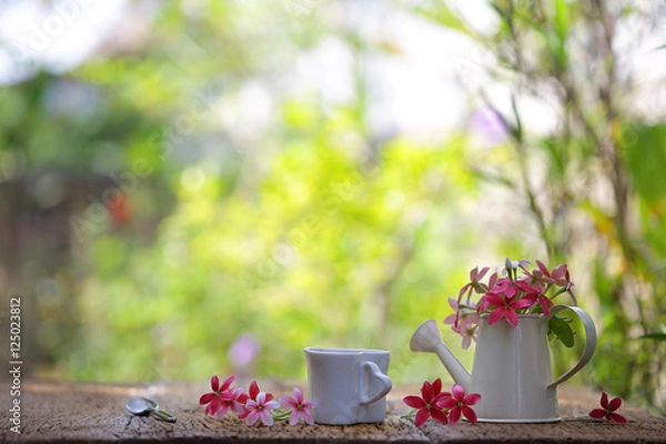 Fototapeta Rangoon Creeper in pot on wooden table