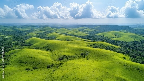 Obraz Lush green hills under a bright blue sky with fluffy clouds, showcasing a serene landscape