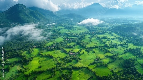 Fototapeta Aerial view of lush green fields and rolling hills under a cloudy sky, showcasing nature's beauty