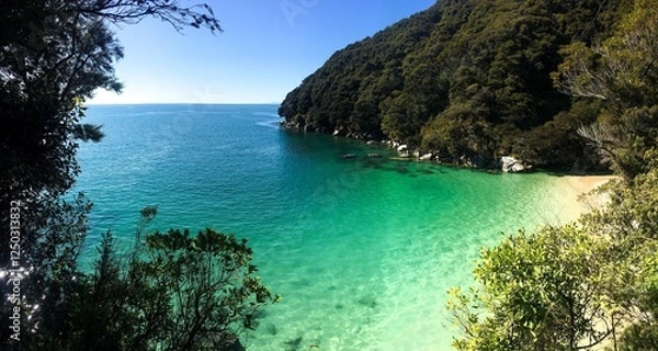 Fototapeta Turquoise waters through the trees
