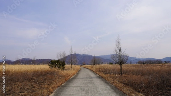 Obraz road to the sky