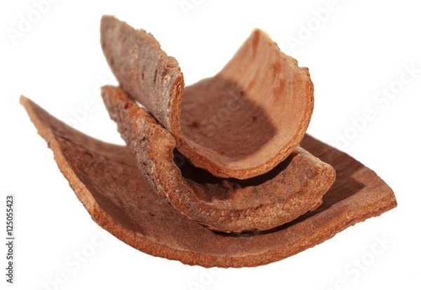 Fototapeta Cinnamon bark. Natural Dalchini. Isolated from white background. Soft focus.