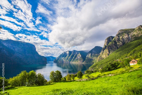 Fototapeta Zobacz Sognefjord w Norwegii. Małe miasteczko i rejs olden w norweskich fiordach. Widok ptaków fiordu w Norwegii. Pod słonecznym, błękitnym niebo, z typowymi domami Rorbu. Widok z góry