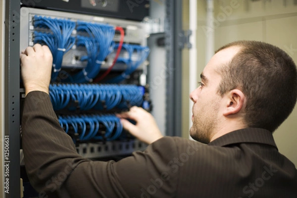 Obraz IT professional