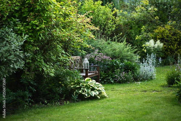 Fototapeta beautiful ornamental summer garden view with wooden bench