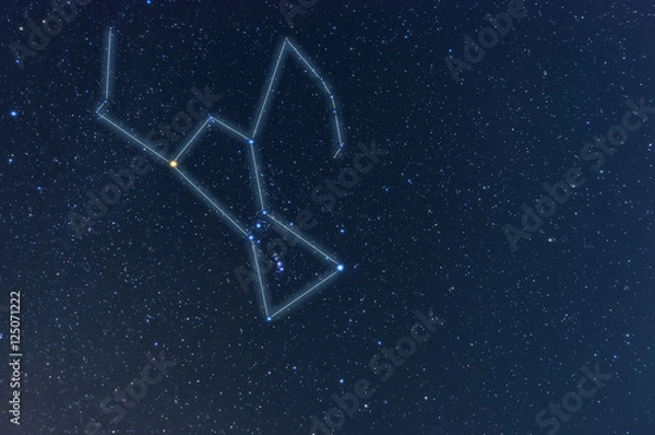 Fototapeta オリオン座