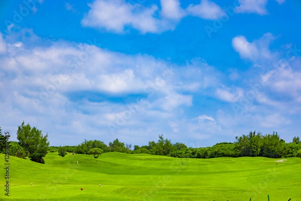 Obraz 爽やかな南国の青空と青い海・ヤシの木と鮮やかな芝が映えるリゾートのゴルフ場（沖縄県宮古島市）