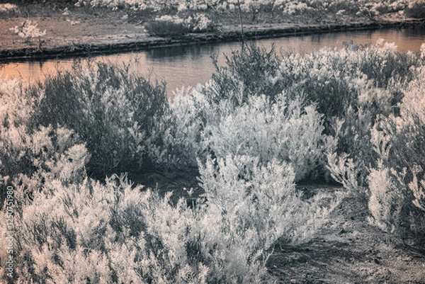 Fototapeta Infrared photography, a landscape featuring a body of water, possibly a river or a pond, surrounded by vegetation, primarily shrubs and bushes