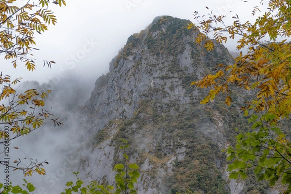 Obraz 秋の風景