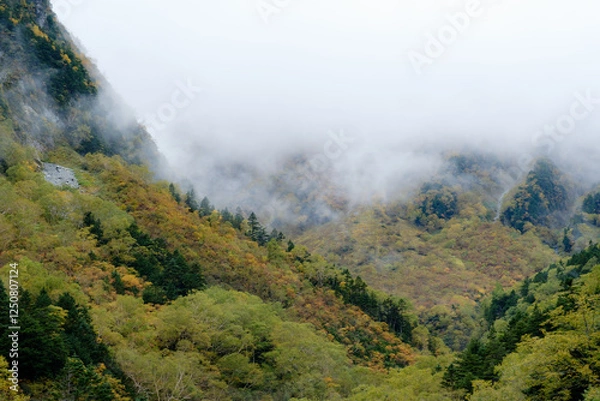 Obraz 秋の風景