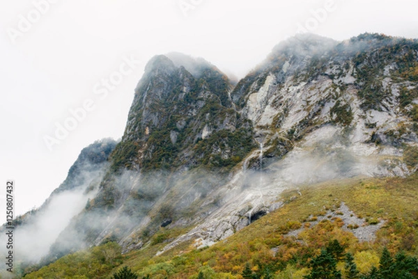 Obraz 秋の風景