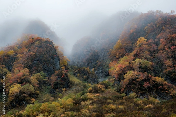 Obraz 秋の風景