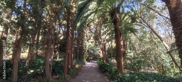 Obraz Green pathways in Jardin Botanico La Concepcion, Malaga, Spain