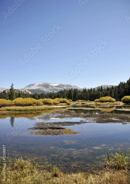 Obraz yosemite collection 6