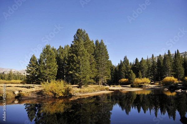 Obraz yosemite collection 12