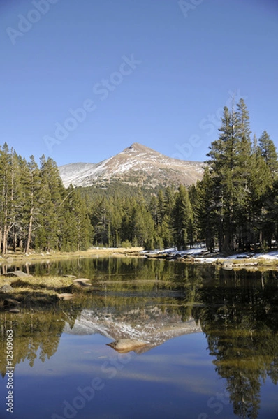 Obraz yosemite collection 13