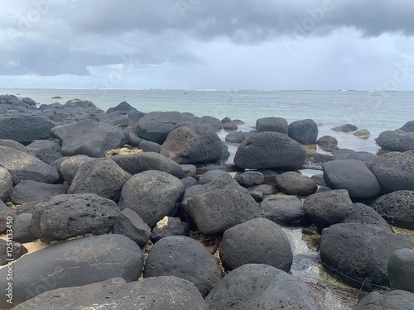 Obraz rocks on the beach