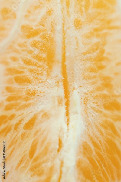 Fototapeta Detailed close-up photo of juicy orange slices. Citrus fruit macro photo