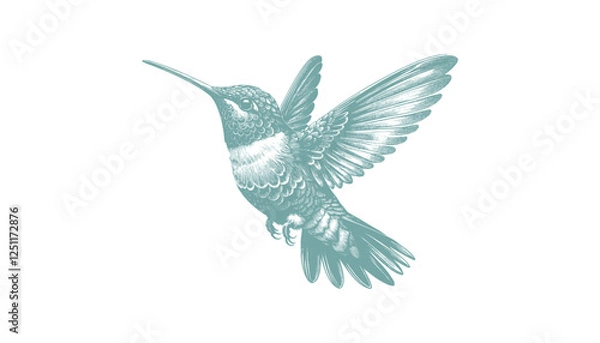 Obraz hummingbird vector | bird vector | hummingbird illustration | hummingbird silhouette | hummingbird tattoo | hummingbird engraving | hummingbird drawing