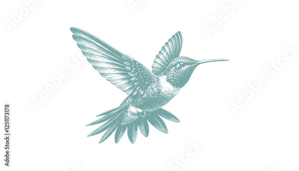 Fototapeta hummingbird vector | bird vector | hummingbird illustration | hummingbird silhouette | hummingbird tattoo | hummingbird engraving | hummingbird drawing