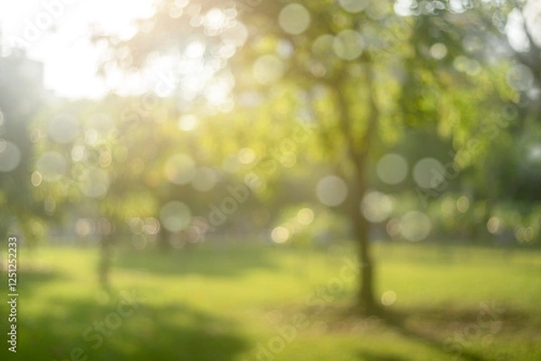 Obraz Blur park with sun light abstract background