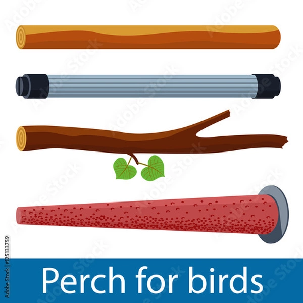 Obraz Vector illustration of plastic and pumice perch for pet birds and wood branch. Isolated accessories for parrot, canary or other bird in cage. 
