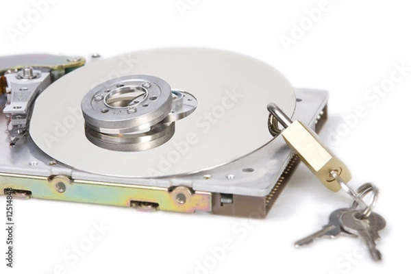 Obraz Data protection